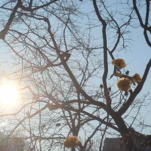 BEST 2025 SONGS (#4) william patrick owen –&nbsp;n1